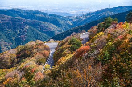 秋の風景 青空へ駆け上がる道 伊吹山ドライブウェイ