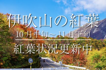 青空へ駆け上がる道 伊吹山ドライブウェイ