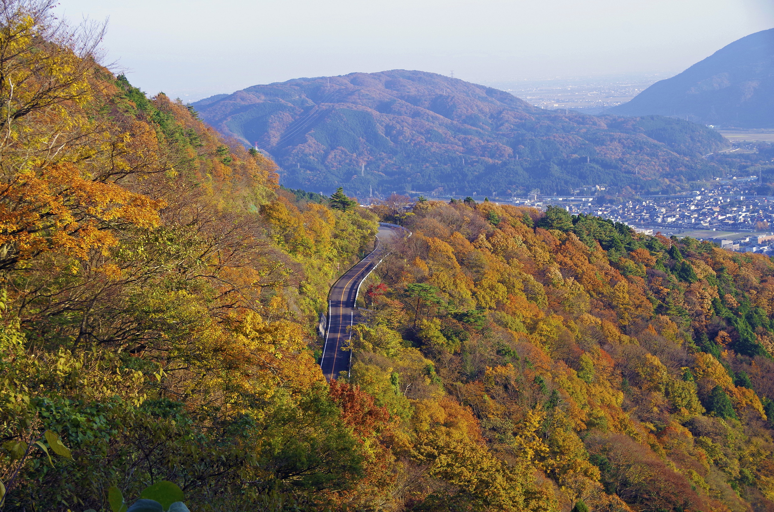 紅葉情報 10 18 更新 色とりどりの山岳紅葉をお楽しみください 青空へ駆け上がる道 伊吹山ドライブウェイ